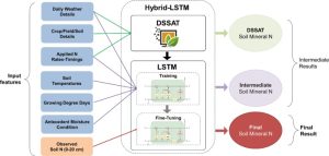 Estimating soil mineral nitrogen from data-sparse field 
 experiments using crop model-guided deep learning approach