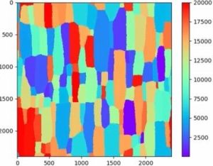 Elucidating Abnormal Grain Growth in Thermomagnetic Processed  Materials with Transfer Learning and Reinforcement Learning